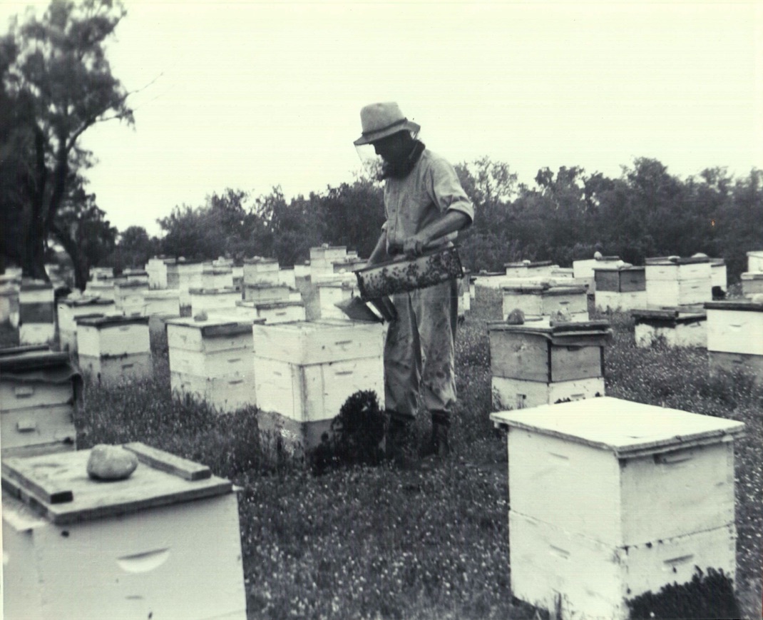 My great-uncle Will Bostick with his bees in Uvalde County